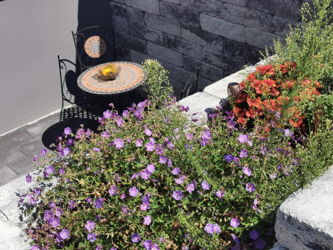 Neu! 3 Sterne Ferienwohnung Loreley Dtv Klassifizierung Bornich Εξωτερικό φωτογραφία